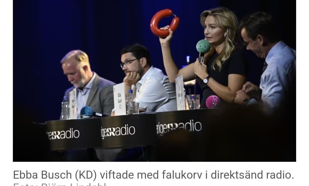 Satanisterna's tweet photo. Valrörelsen 2022 perfekt sammanfattad i en enda bild. https://t.co/a3j7NEdAjB