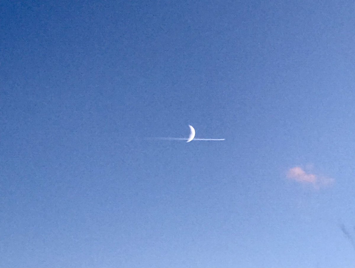 Frangar73etc's tweet photo. #moonjet https://t.co/pV4JGEw3gf