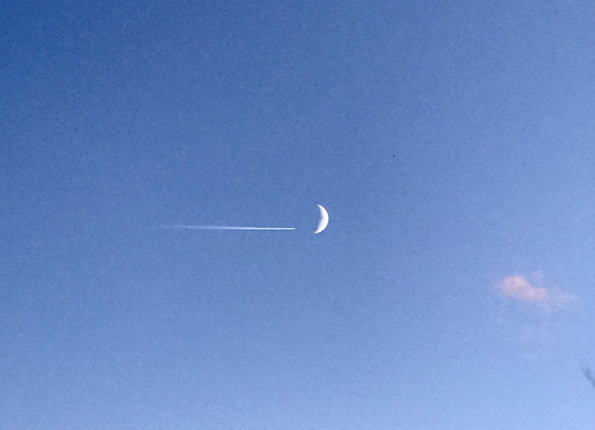Frangar73etc's tweet photo. #moonjet https://t.co/pV4JGEw3gf