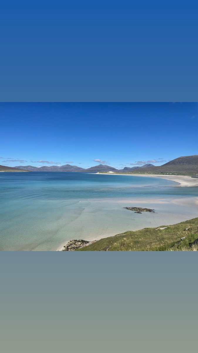 Lorna Bryson tweet media