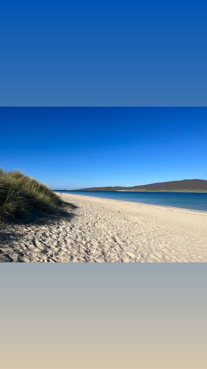 Lorna Bryson tweet media