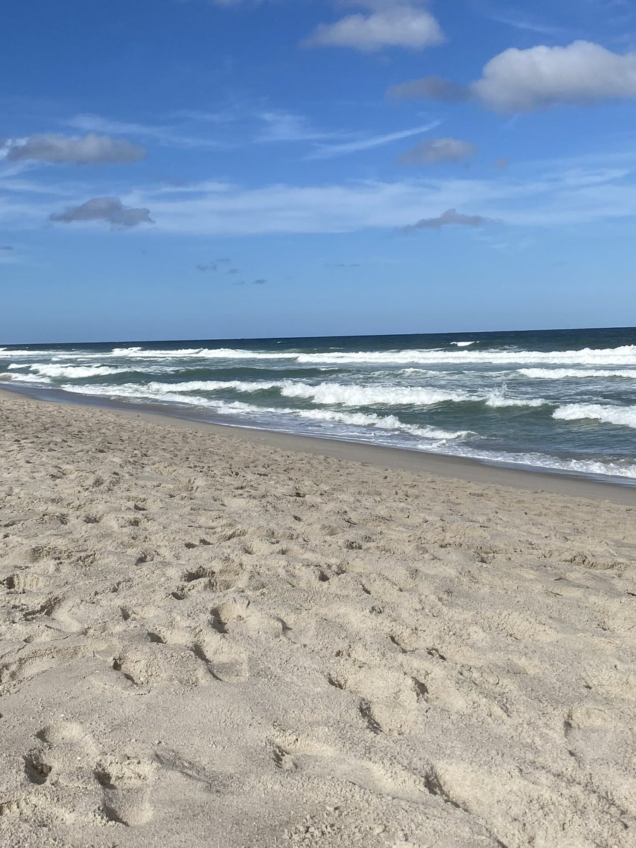 Richard Dragotta tweet media