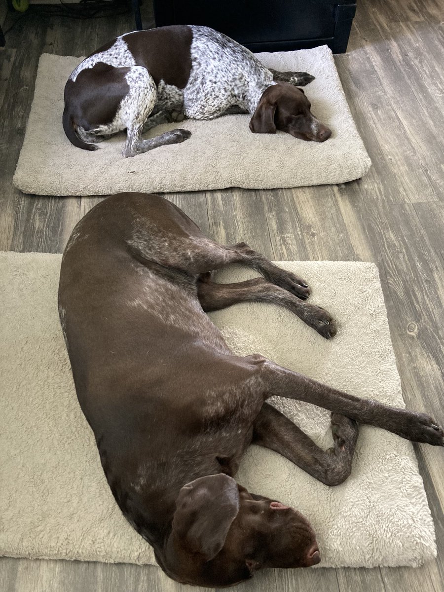 Heidi Breyley tweet media