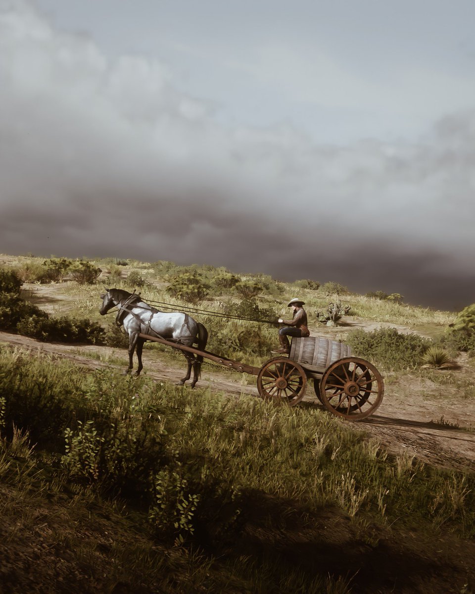 Red Dead Vibes tweet media