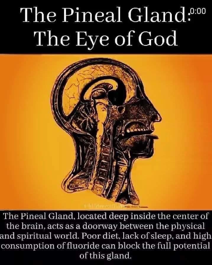 KaranjaKeita's tweet photo. #ThePinealGland #TheEyeOfGod https://t.co/eJ14WHC17o