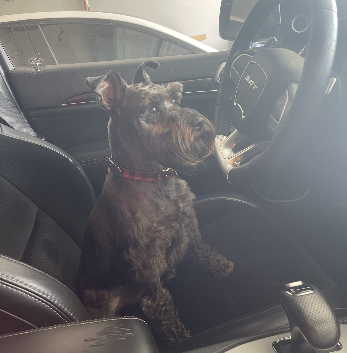 Maria Figueroa tweet media