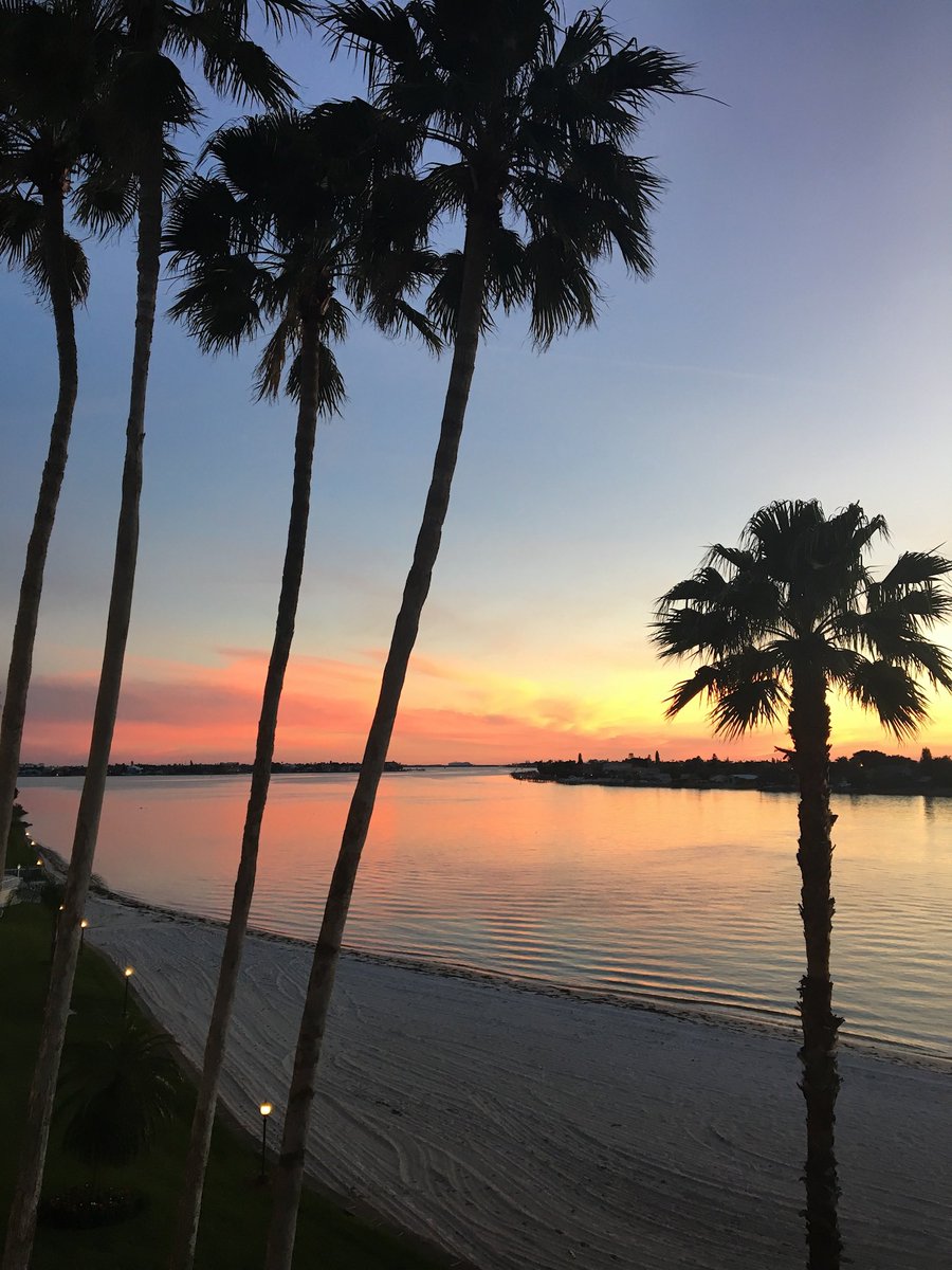 MuffySadler's tweet photo. Cheers to 7 years with this backyard 
👁♥️ St. Pete https://t.co/fKaPGPuY9p
