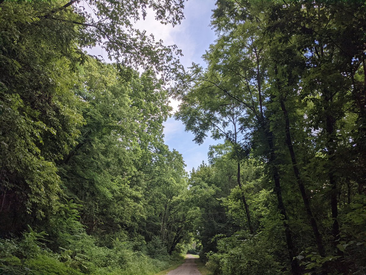 LouAPCD's tweet photo. Air Quality is forecast to be Good Monday. #AirQuality #kywx #inwx #lmwx #Louisville #LaborDay https://t.co/L34mcMuzFH