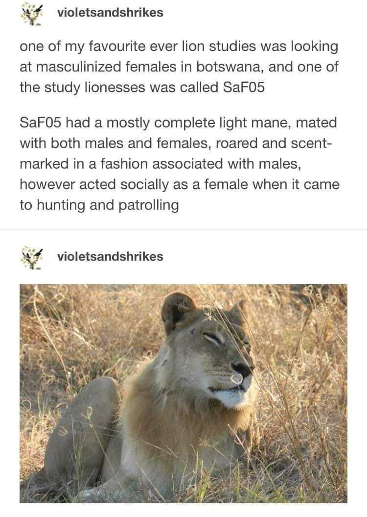 Tweets With Replies By Xdyj9 Telegram Mirror Xdyj9 T Twitter