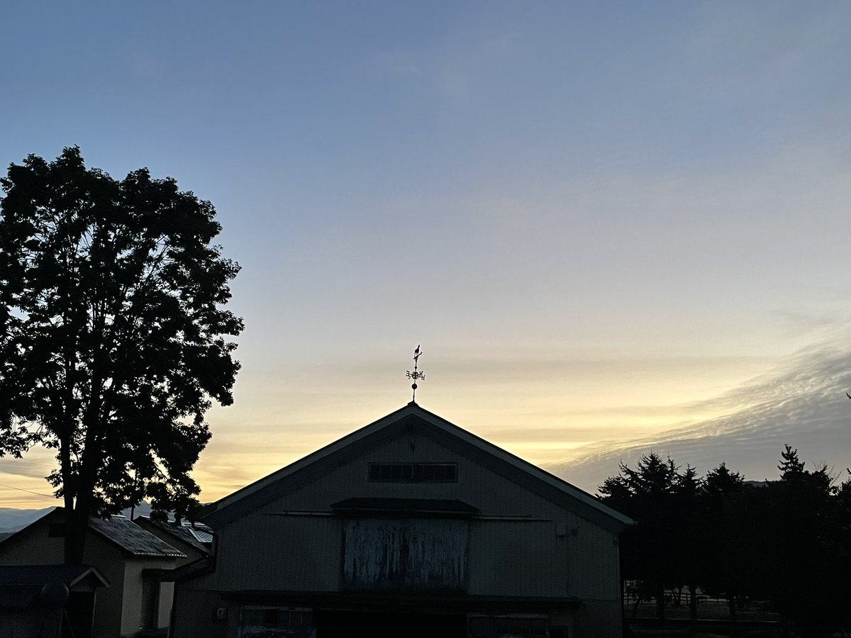 taihokustud's tweet photo. おはようございます☀
今朝4時半でこの明るさ。日の出が遅くなってきました🍁
今週は2頭の出走です🐴 https://t.co/fDQCTlNrbt