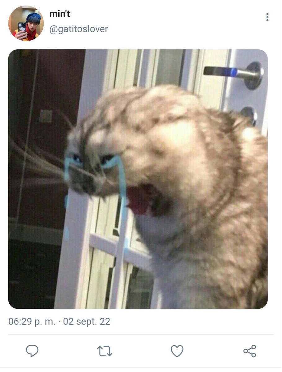 tixiechris's tweet photo. au minsung •wrong chat• ❤️‍🩹

donde m!nho está hablando con dos personas a la vez y termina confesando sin querer https://t.co/kFuSIxfgRO
