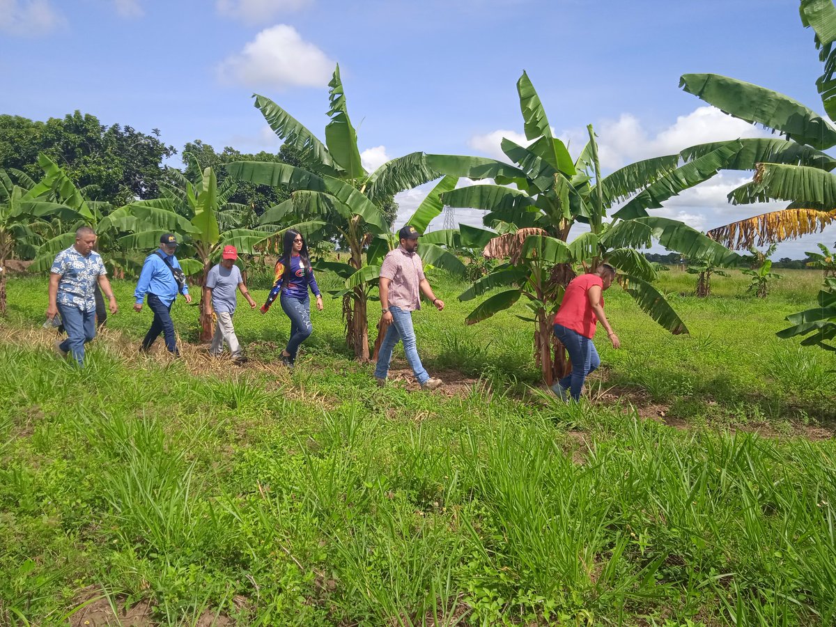 Cumpliendo con las orientaciones dl Pdte. @NicolasMaduro, la @GobMonagas_, @Inti_venezuela, @ClapMonagas y @Fundacomunalofi se hizo entrega de Título de Adjudicación Tierras por 18 ha a integrantes del Clap Productivo y de la comuna Amanecer Revolucionario de la Candelaria Norte