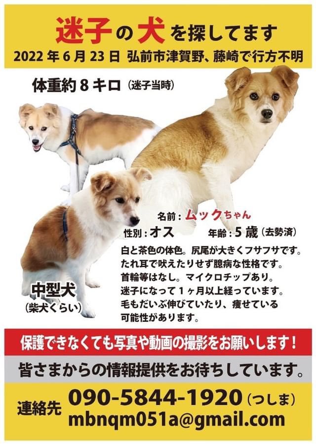 あゆあゆ tweet media