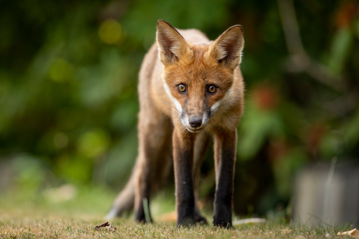 Girls Who Click tweet media