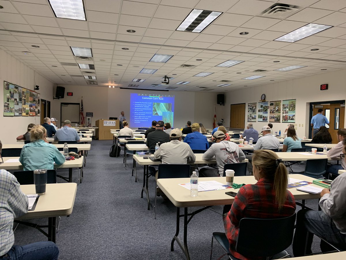 UF_PBC_VegFruit's tweet image. We’re hiring! Assistant Prof in plant pathology @UF_IFAS @EvergladesREC Great opportunity to work with the best vegetable &amp;amp; sugarcane growers in the U.S. @NPDN @APS_CLARE @APS_Extension @FieldVegetables @plantpathgrads @APSbacteriology @UFPlantPath Apply explore.jobs.ufl.edu/en-us/job/5234…