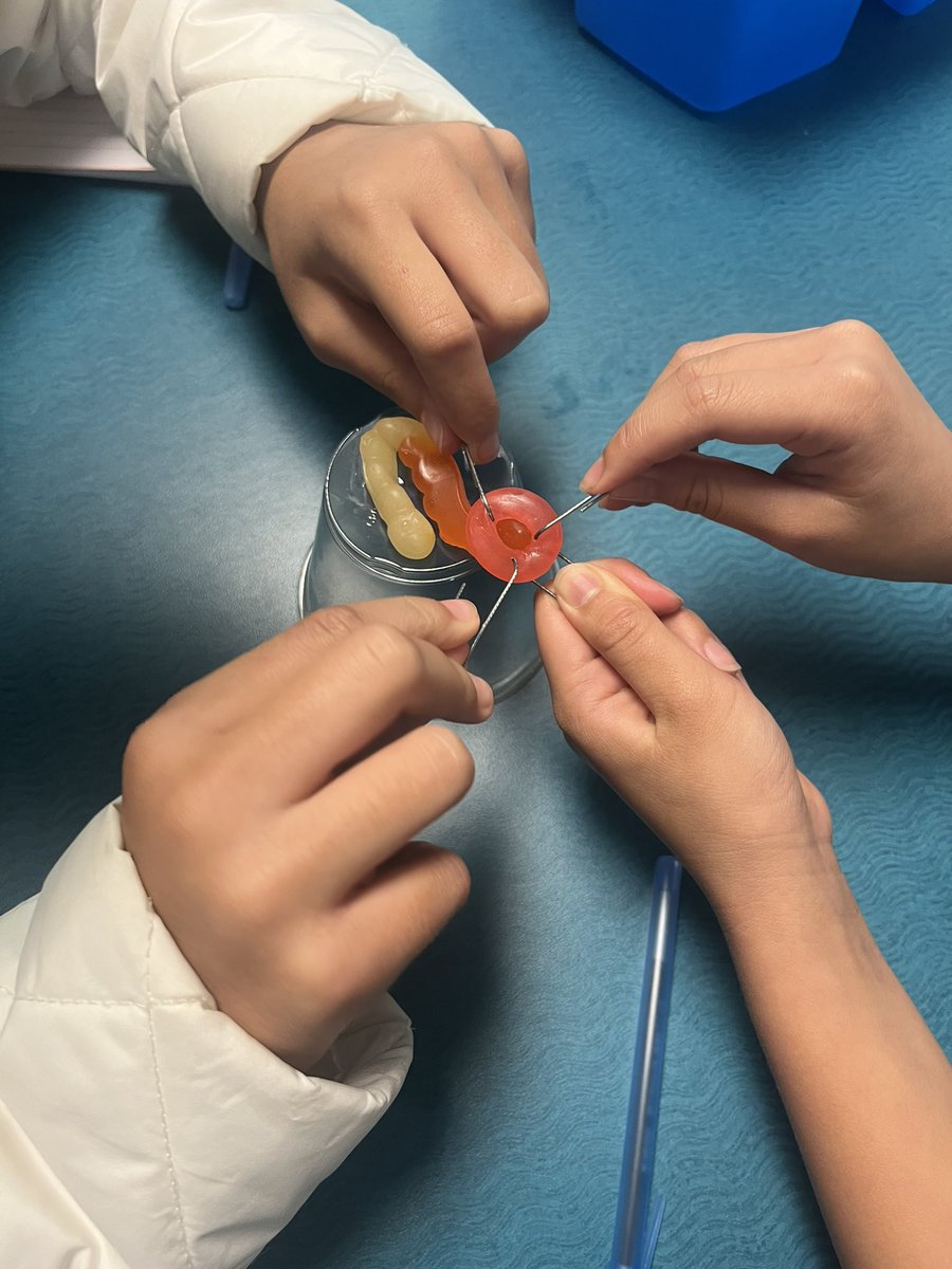 @HuskySTE(a)M tweet media