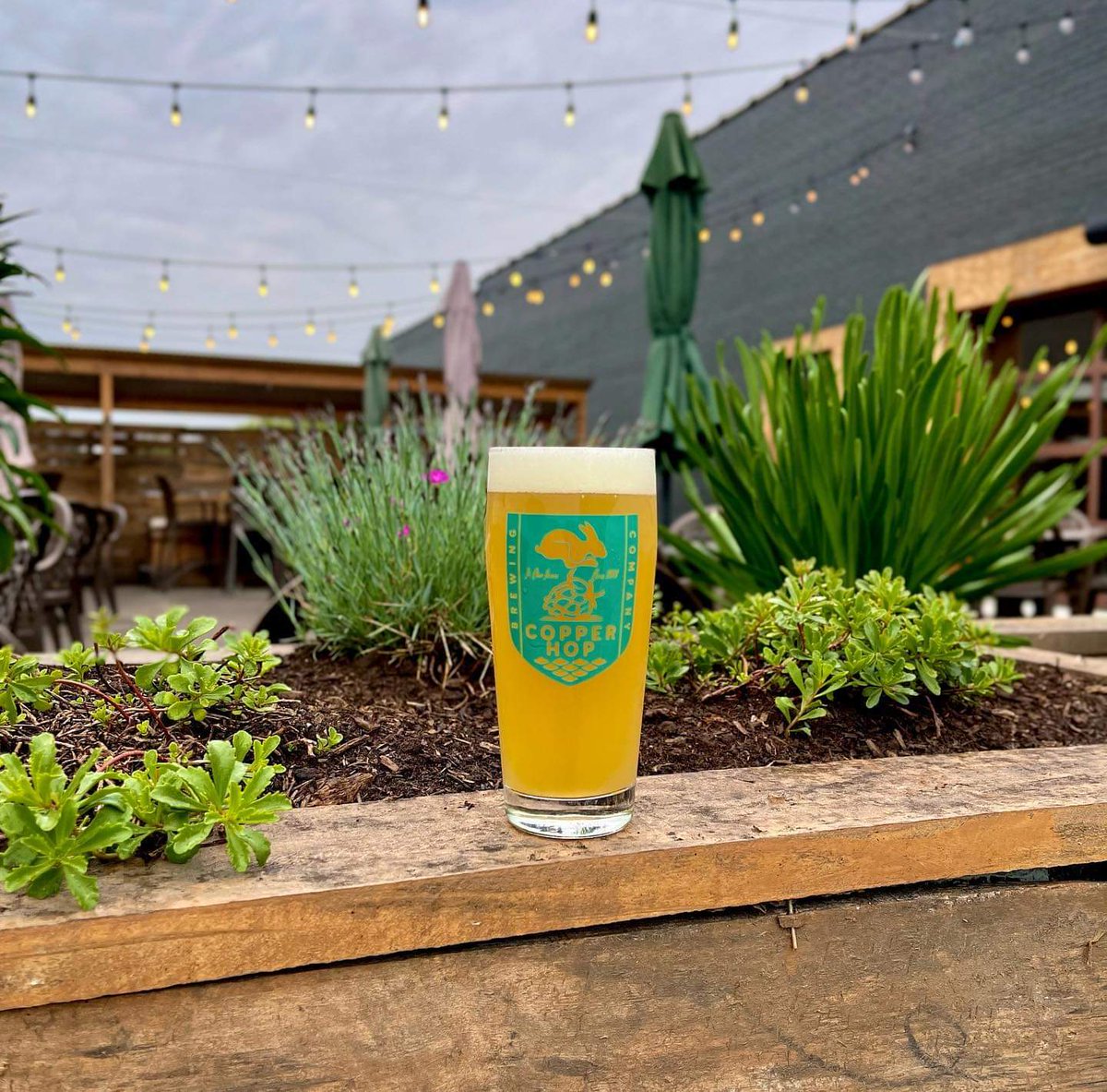 Copper Hop Brewing Company tweet media