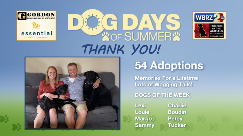 DrJoshWX's tweet photo. I want to sincerely thank everyone who helped make @WBRZ's Sixth #DogDaysofSummer possible. 

-The staff at Channel 2
-Our sponsors: @EssentialFCU &amp;  @getGordon
-Curbside for "Barks &amp; Burgers"
-Everyone who adopted, donated
@FOTAbatonrouge for loving the doggies
 
🐕 ❤️ https://t.co/8CN7feKSgL