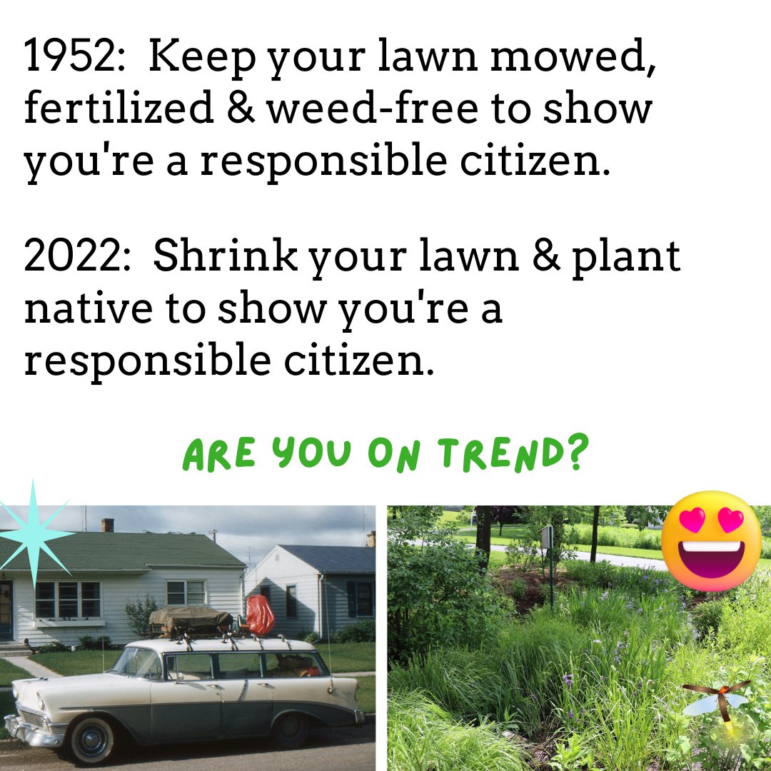 Times are changing! The concept of lawn as a symbol of status and responsibility is finally shaking loose. Are you on trend? #shrinkthelawn #plantnative