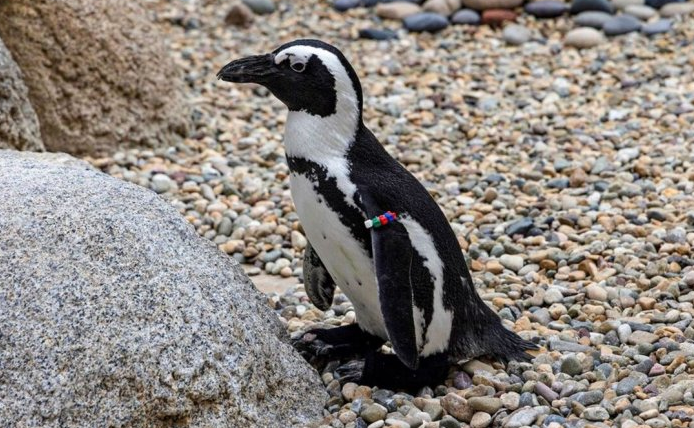 Gazette Review tweet media