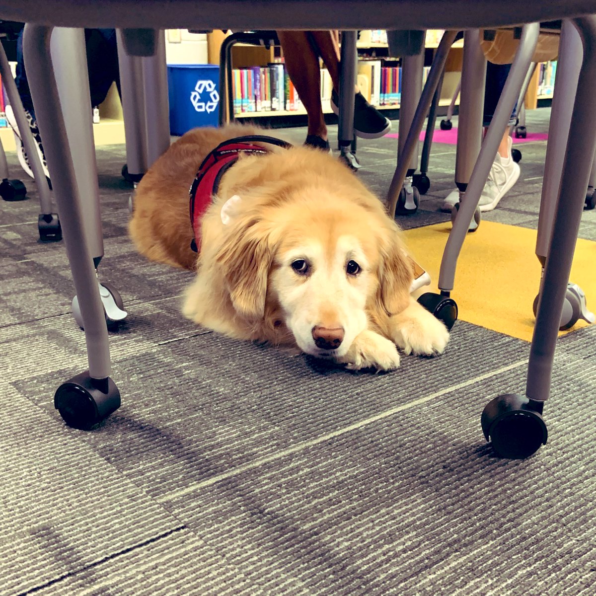 A little reading with donuts this morning! HHE teachers had great convos about dignity. 📖🍩 <a href="/hhehornets/">Hawthorn Hill Elementary</a> <a href="/HUNTERLSAP/">Melissa Hunter</a> <a href="/LSR7/">Lee's Summit R-7 Schools</a> <a href="/shellysanders80/">Shelly Sanders</a>