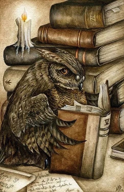 BarbaraDeloris's tweet image. 🦉 Have a beautiful weekend everyone! #ReadingAndLearning 📖