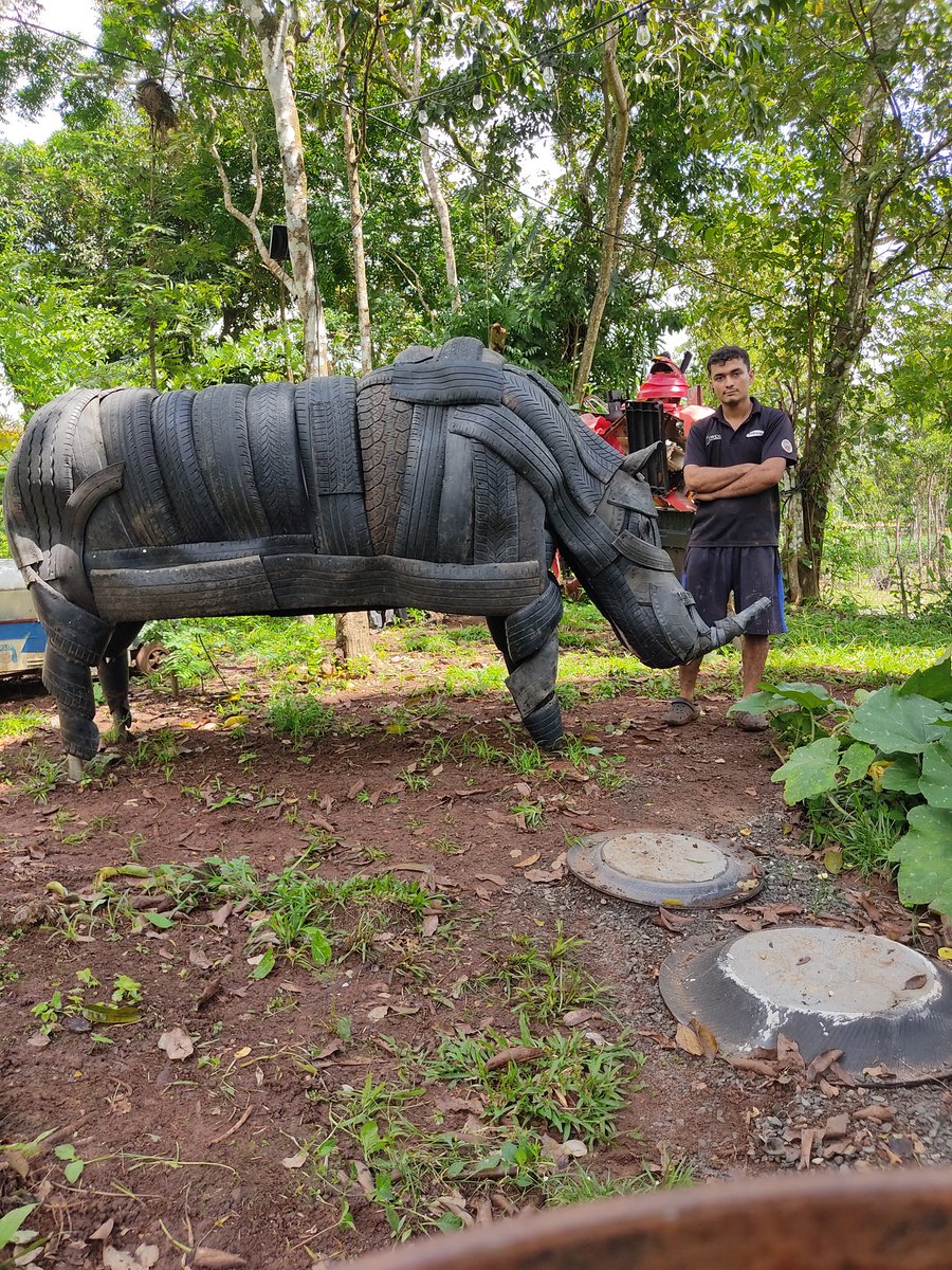 El Rinoceronte hecho de llantas recicladas de varios tamaños y clases espero les guste esta escultura en el parque de reciclaje y vivero @gisygonzalez @MiCulturaPma @elcuaracom @ElChotin @tvnnoticias @gretelmendez @JCTapiaLMB