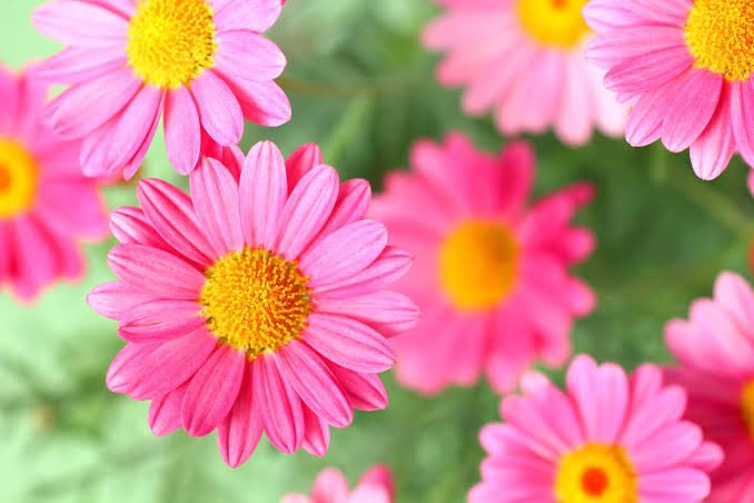 ひらやん Wfvpzuib8hkpkix Twitter