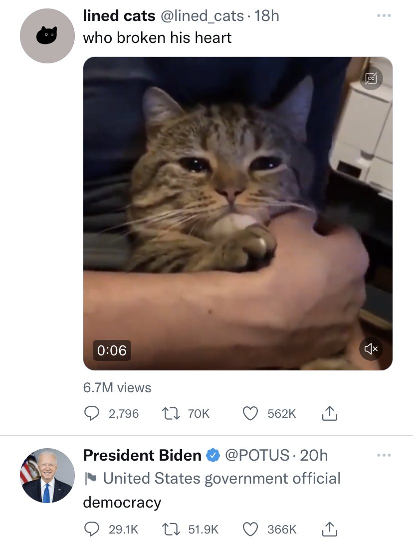 SHUTUPRUSH's tweet photo. Love the serendipitous line up here. https://t.co/VLoR7zSLGG