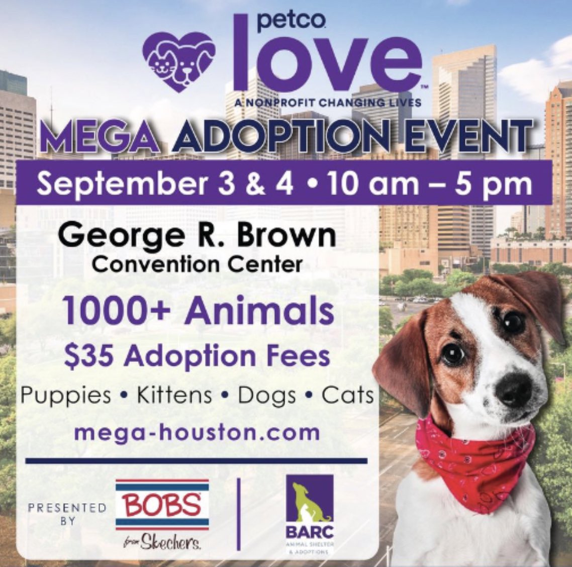 Houston on Twitter "If you’re looking to adopt a new furry friend, be