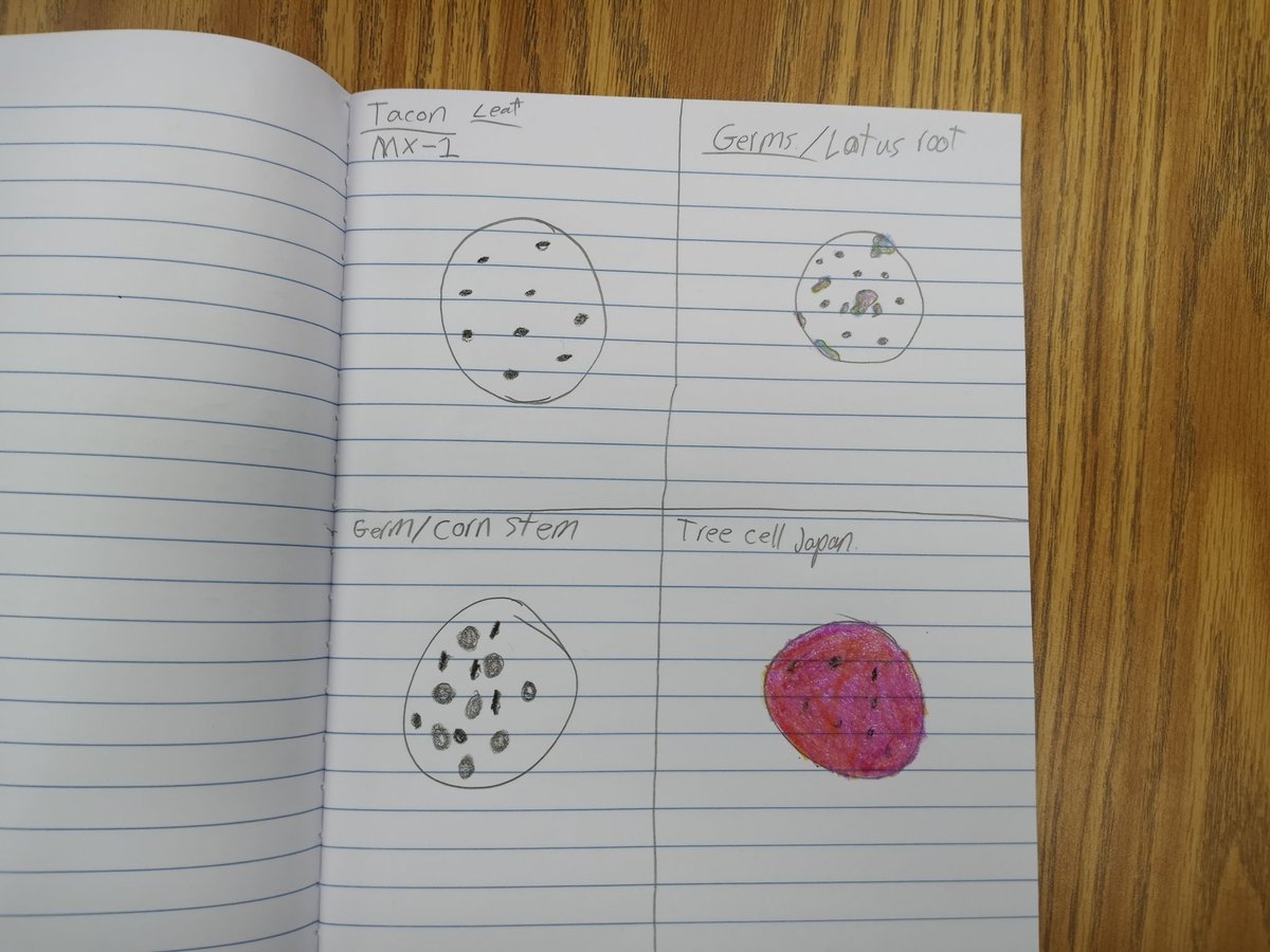 Microscope day in the STEM Lab for 6th grade students. 100% engagement for <a href="/mrs_hitchcock/">Christina Hitchcock</a>'s class. #FrazierFam #TeamFUESD
