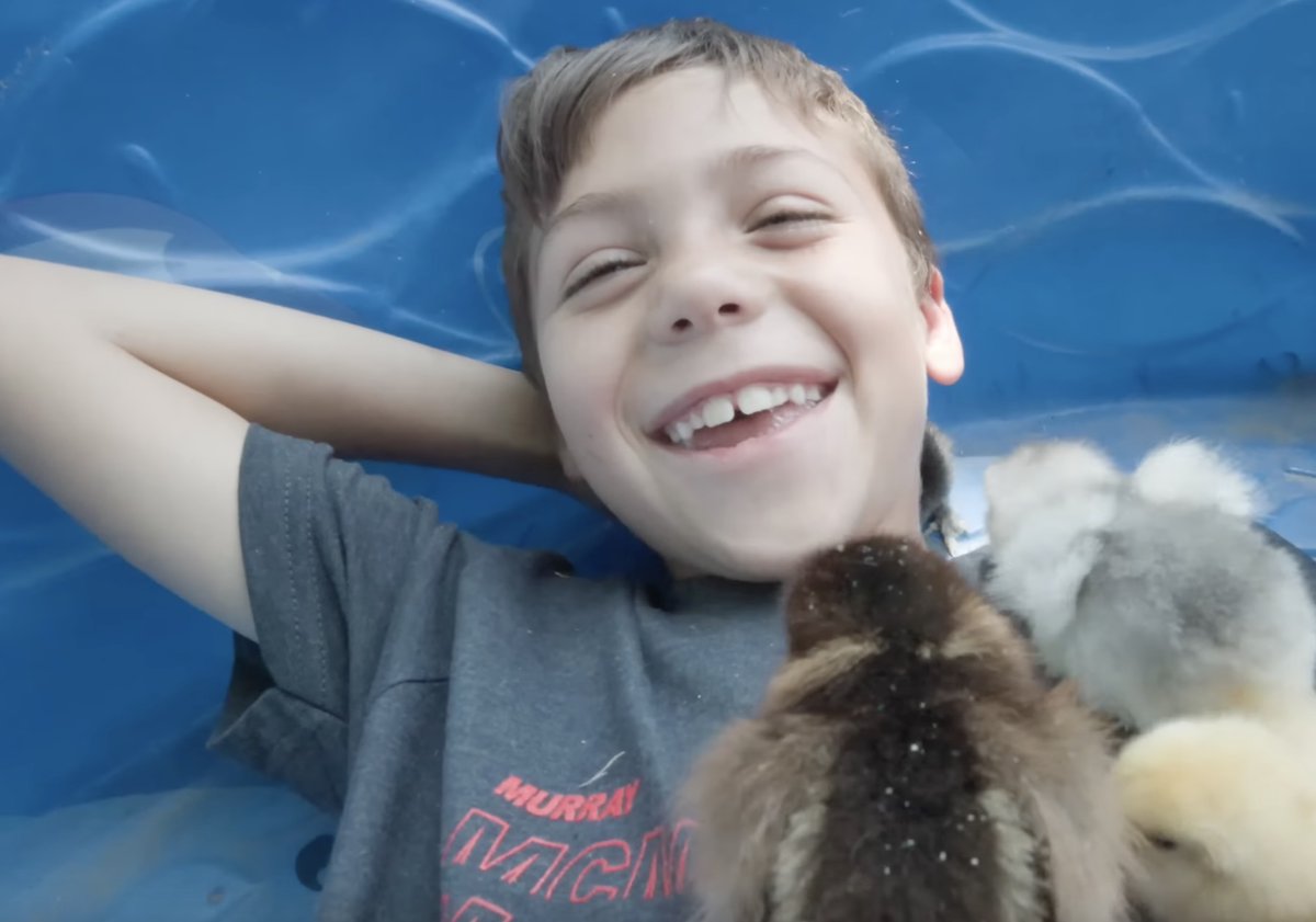 The "chick bath" 🐣🛁 youtu.be/om-bLdRpm-I  at <a href="/whitehouseonthe/">White House on the Hill</a>
 #WhiteHouseOnTheHill is one of our favorite customer traditions. So fun to see their kids grow each year — in size and number! Share your annual chick-related traditions at your home or farm in the comments!