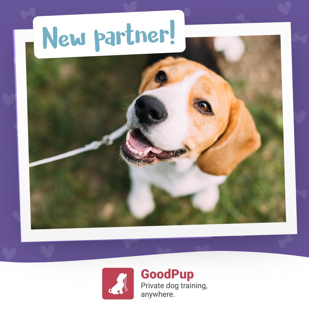 itvrescue's tweet photo. We are excited to announce that ITV has partnered with GoodPup to provide affordable, science-based dog training. GoodPup training is fast and effective, because it’s designed for how dogs (and dog parents) learn. Receive a free week of GoodPup training: https://t.co/VTNOcX389I https://t.co/p2FJwEtqHB