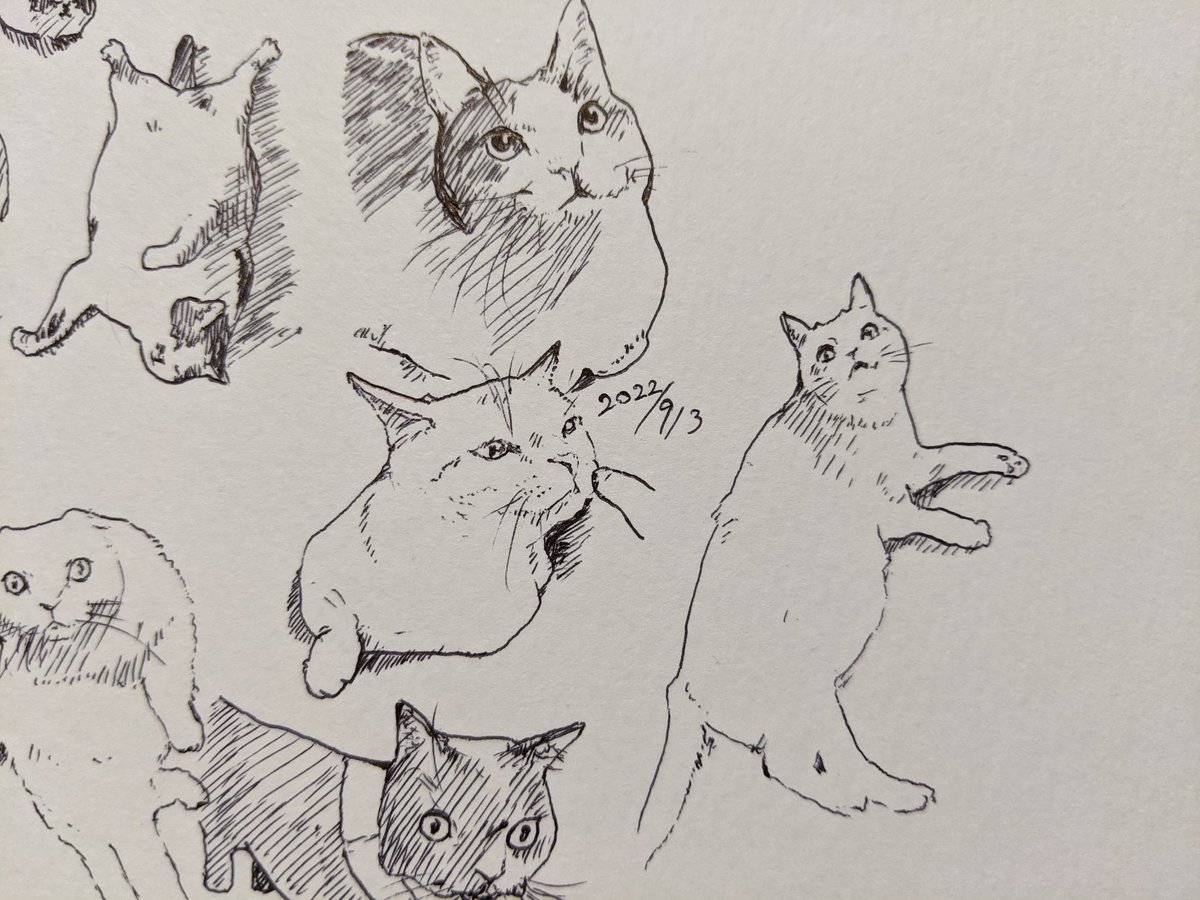 赤ちゃんのへその緒が取れたよん 