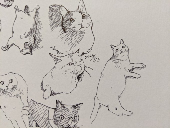 赤ちゃんのへその緒が取れたよん 