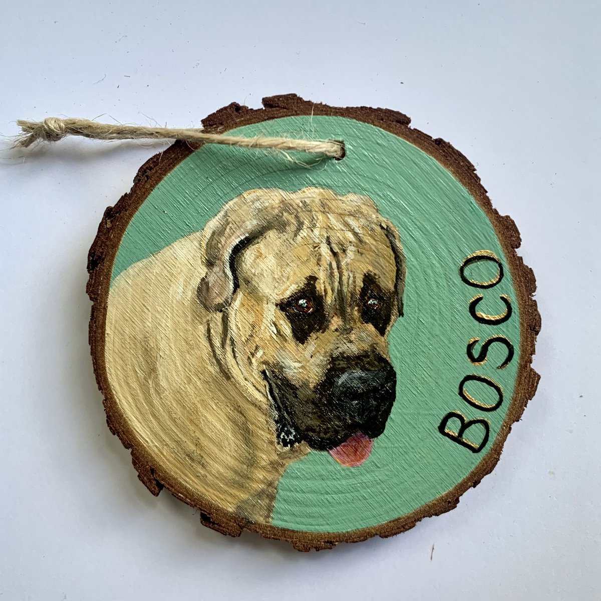 more ornaments 🎄#petportraits