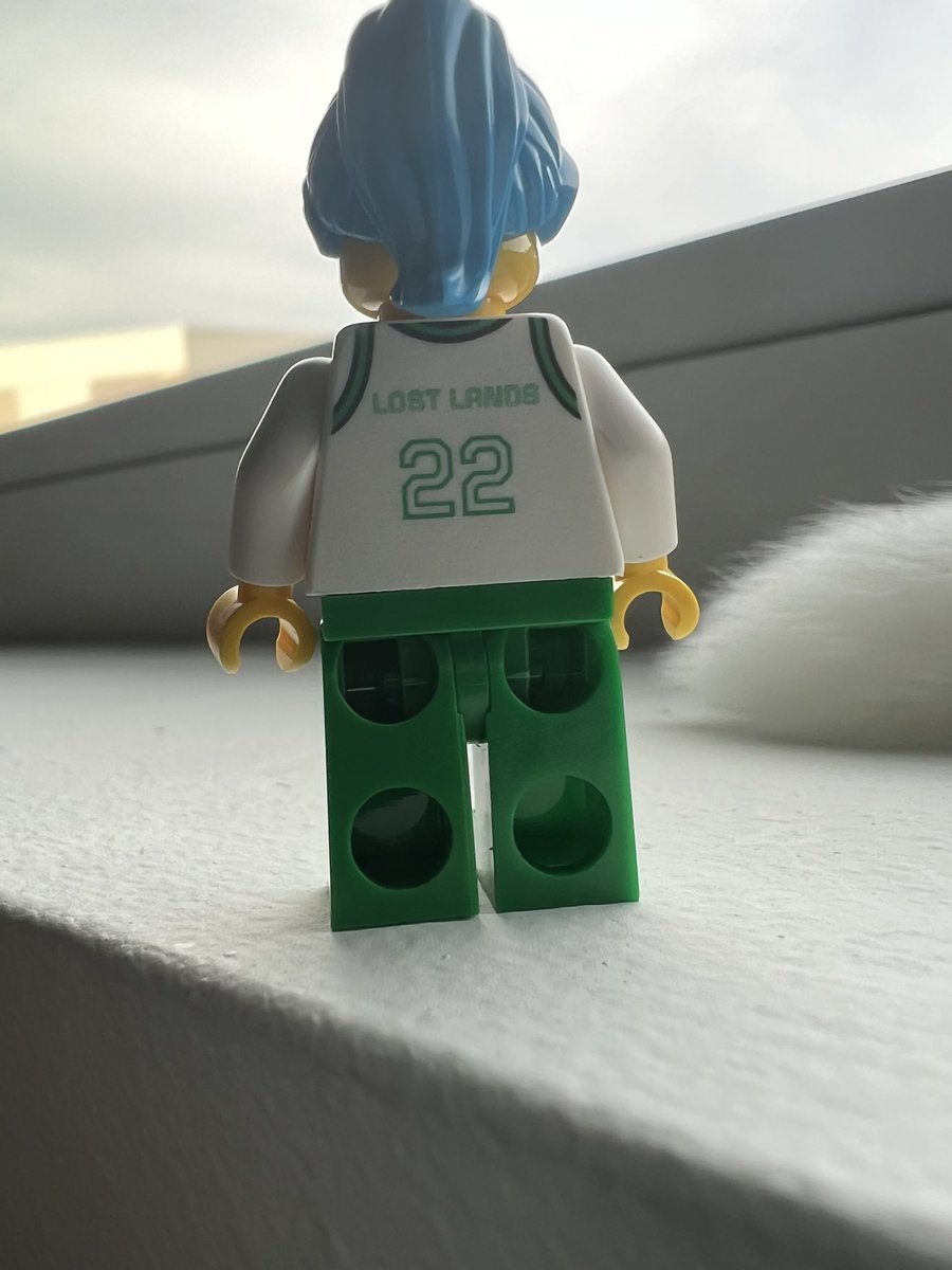 MAG3IS's tweet photo. did i order a custom lego mini figure for my @lost_lands dinosaur? yes. yes i did. https://t.co/zAFg269sJv