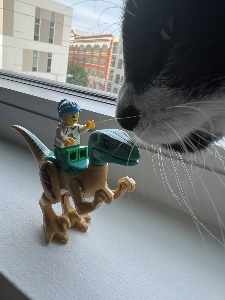 MAG3IS's tweet photo. did i order a custom lego mini figure for my @lost_lands dinosaur? yes. yes i did. https://t.co/zAFg269sJv