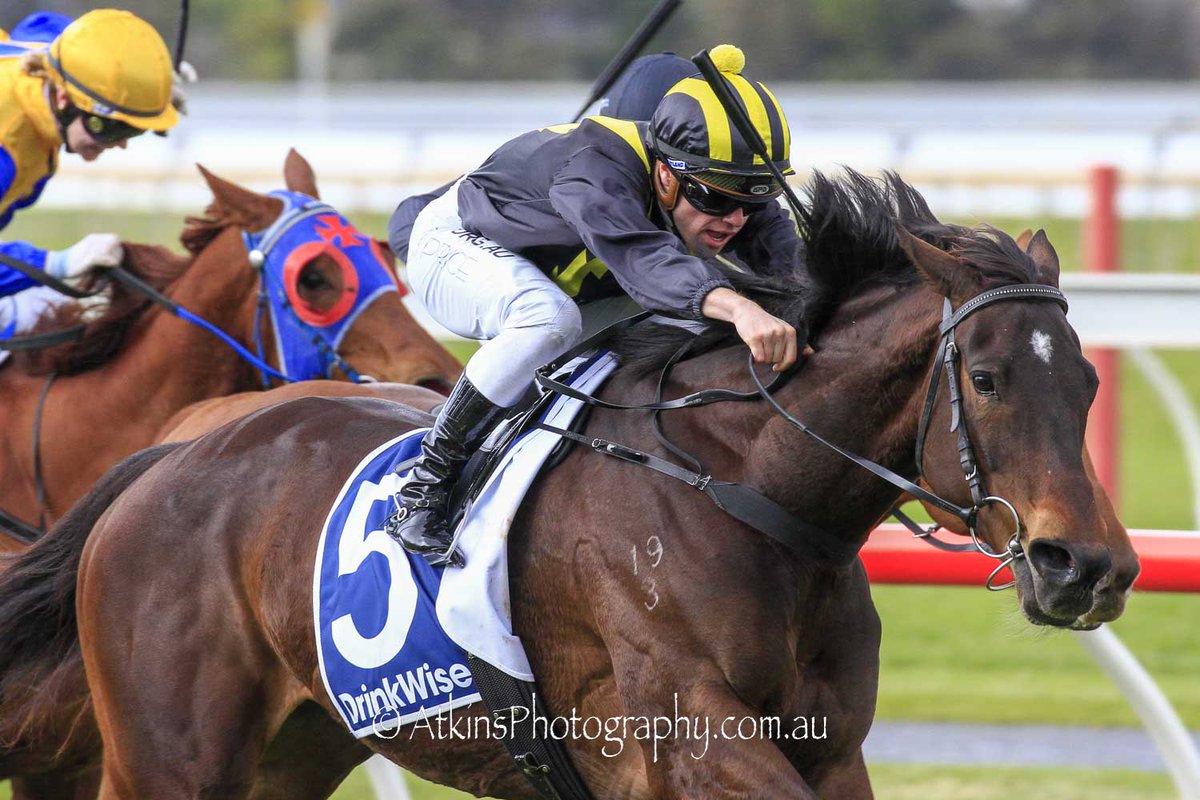 terry_hann's tweet photo. David Jolly, Will Price and Moscow Red teamed up to win the Hindmarsh Plumbing Handicap at Morphettville. @RacingSA @SAJockeyClub @WILLPRICE50 @DJollyRacing
More 🐎📷 https://t.co/LUberpCjae https://t.co/IOcYoJ0W5U