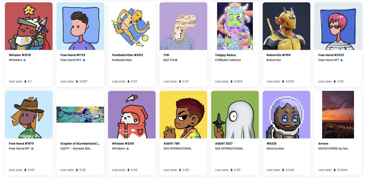 buzzy 🌯🐝 tweet media