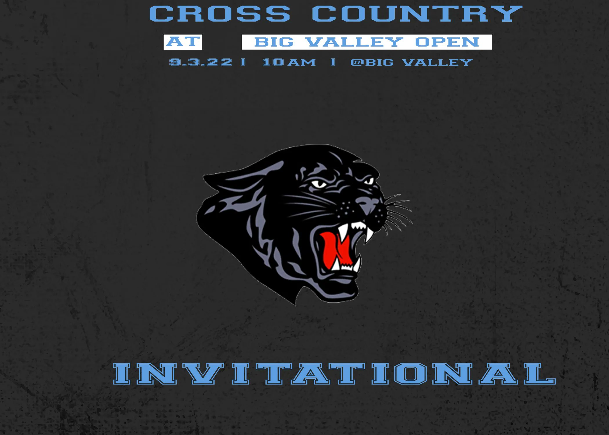 Penn Cambria Athletics (pcam_athletics) / Twitter