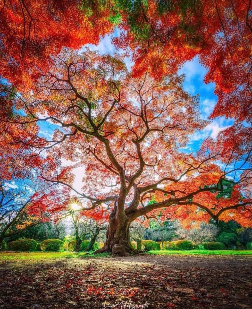 ~🧡~♡♡Good Morning♡♡~🧡~