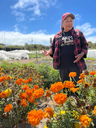 kattaylor's tweet photo. Our partners at @UrbanTilth strive for a just and healthier community. Their new North Richmond Farm will hopefully be a neighborhood anchor that sows healing, connection, self-determination, and prosperity #GrowingtheTable #HungerActionMonth https://t.co/4Wz8xnxAJP