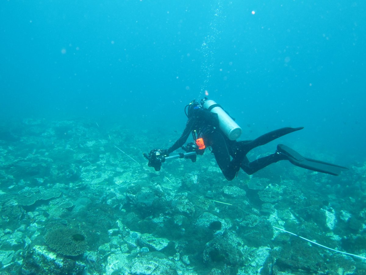 Chris Cooney tweet media