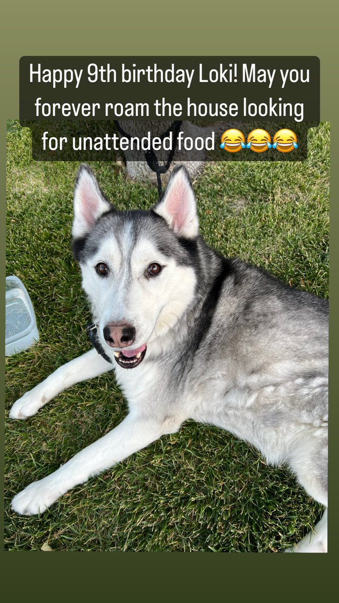 Jeremy Great tweet media