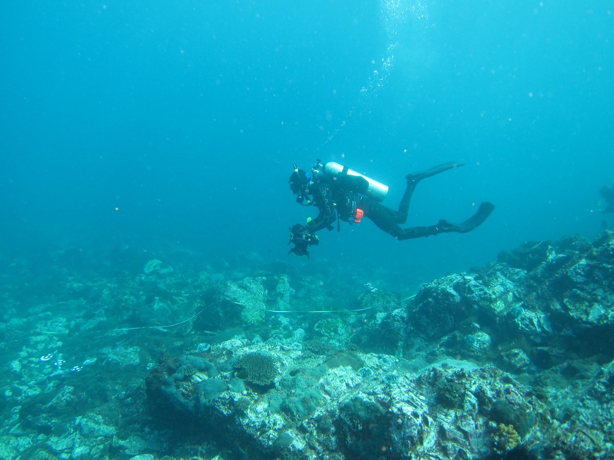 Chris Cooney tweet media