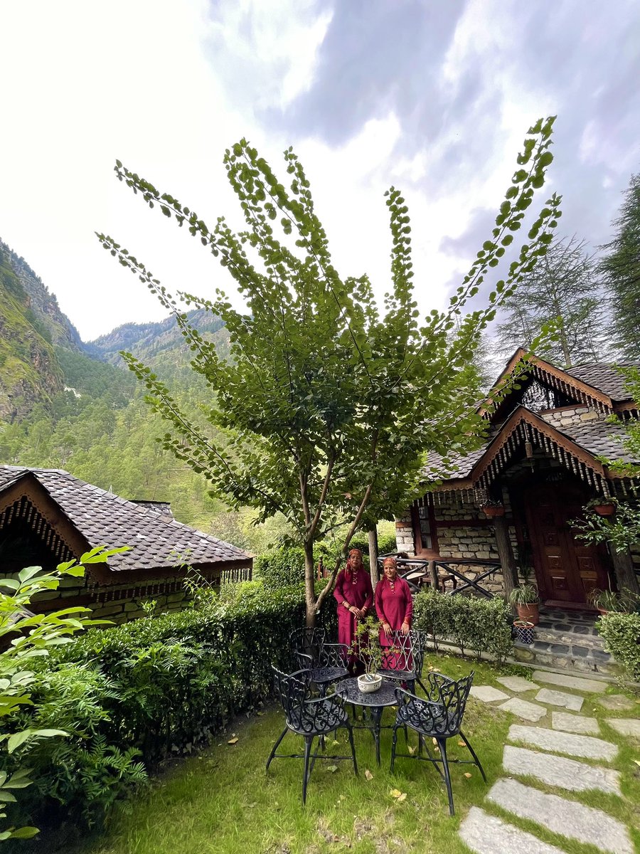 kailashathv's tweet photo. What perfect days look like #kingdomofdreams #thehimalayanvillageresort #kasol #familygettogether #family #familygettogether😍😘 #familylove❤️ #familyouting #familydiaries👪 #bloggersofindia #travelagentsinindia #hillstations #b2btravelagents 9805072712 https://t.co/dU5r5YR4Bq https://t.co/F87UMKplXX