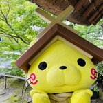 ツイートに含まれる画像