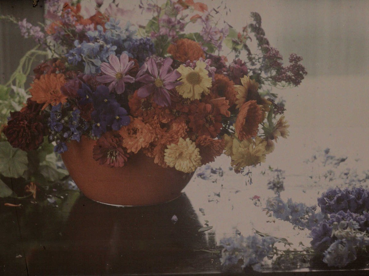 Peyman Milanfar tweet media