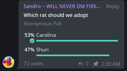 RatGirlBSC's tweet photo. Weβre looking to adopt a rat from @HeroRATs in support of this charity. Our community will decide who to adopt. If poll ends at a draw we will adopt both as our mascots. Letβs get these heroes trending ππ
https://t.co/8Ok2odNPZF
#RatGirl #BSC #BSCGemsAlert #RatToken https://t.co/kmvLeF6i87